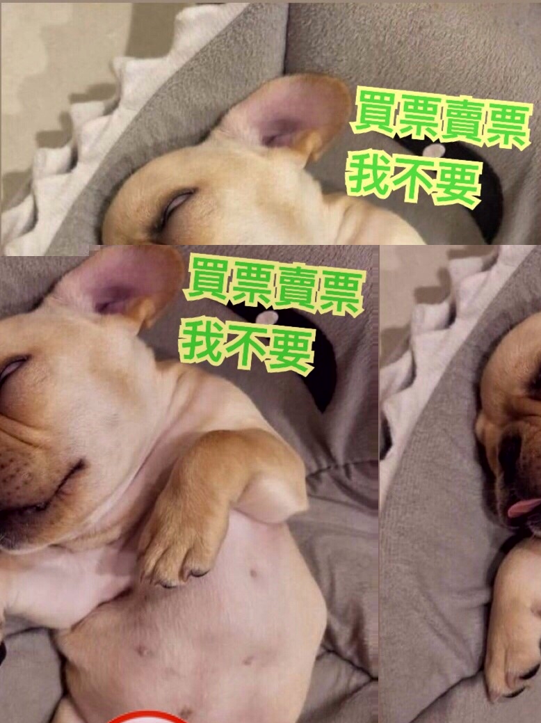 買票賣票我不要，小狗照片